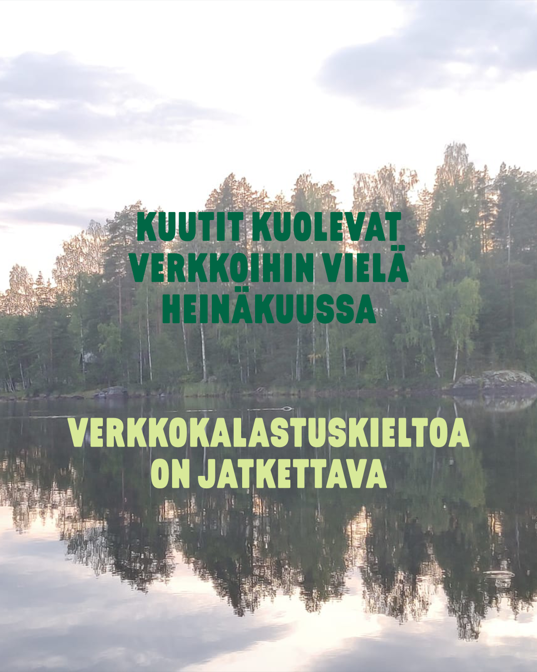 Lappeenrannan tulee vaatia verkkokalastuskiellon jatkamista heinäkuun loppuun - Tuomo Liljenbäck